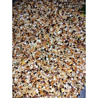 Ngũ cốc cho cu gáy