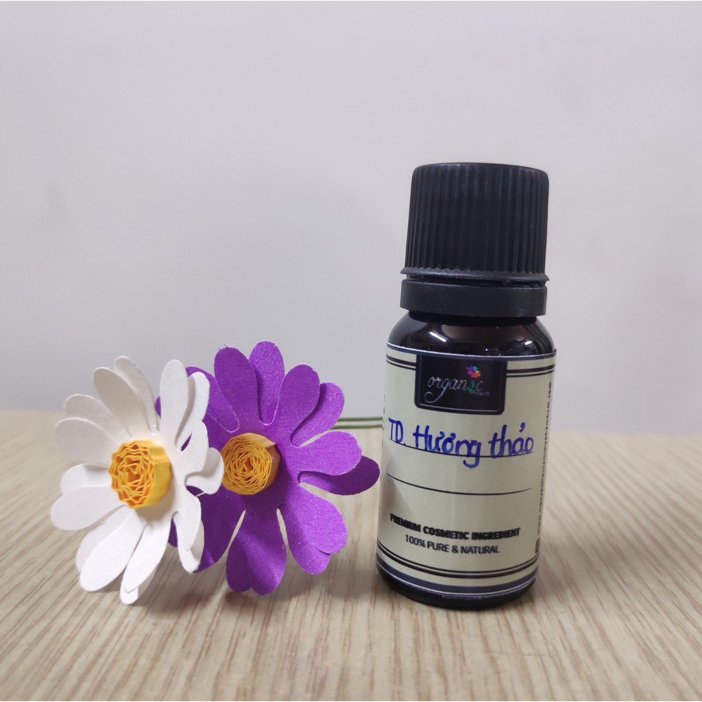 TINH DẦU HƯƠNG THẢO (ROSEMARY) | BigBuy360 - bigbuy360.vn