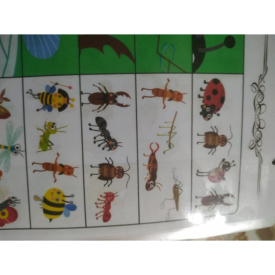 Học liệu tiếng anh