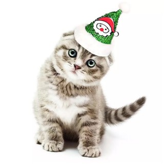 NÓN NOEL DÙNG ĐỂ ĐỘI CHO CHÓ MÈO XUDAPET - SP000537