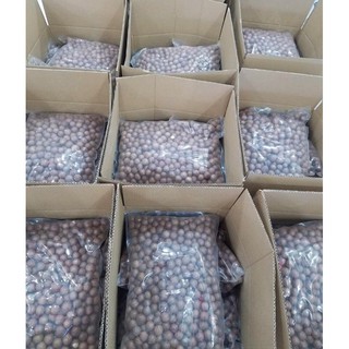 [FREE SHIP] HẠT MACCA LÂM ĐỒNG NỨT VỎ TỰ NHIÊN ( tặng kèm khui)