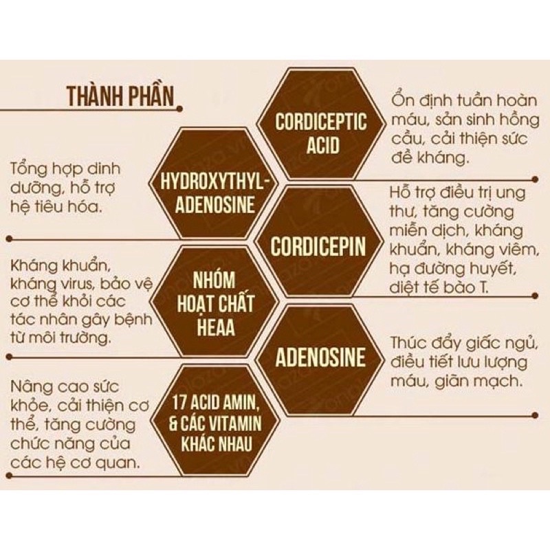 Nấm đông trùng hạ thảo cao cấp sỉ