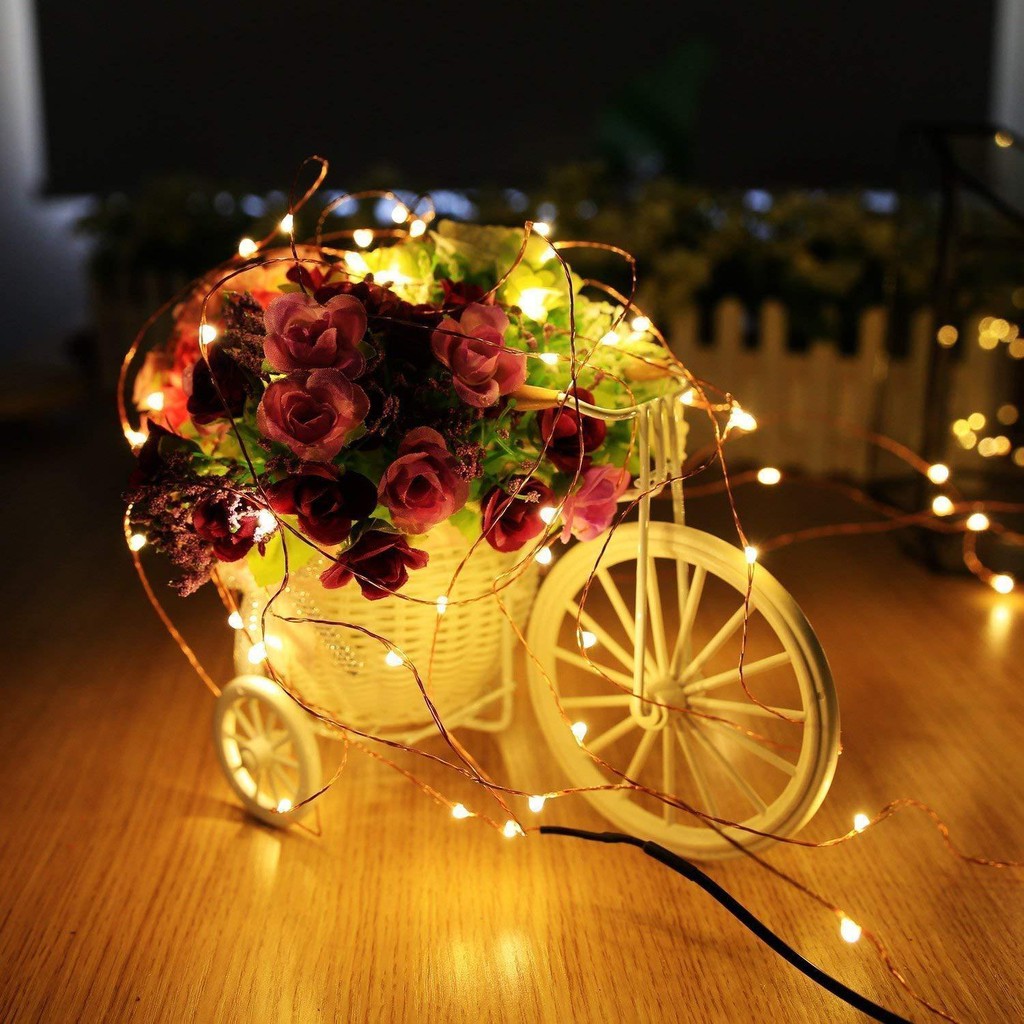 Đèn Led cước Fairy Light trang trí 10m 220V