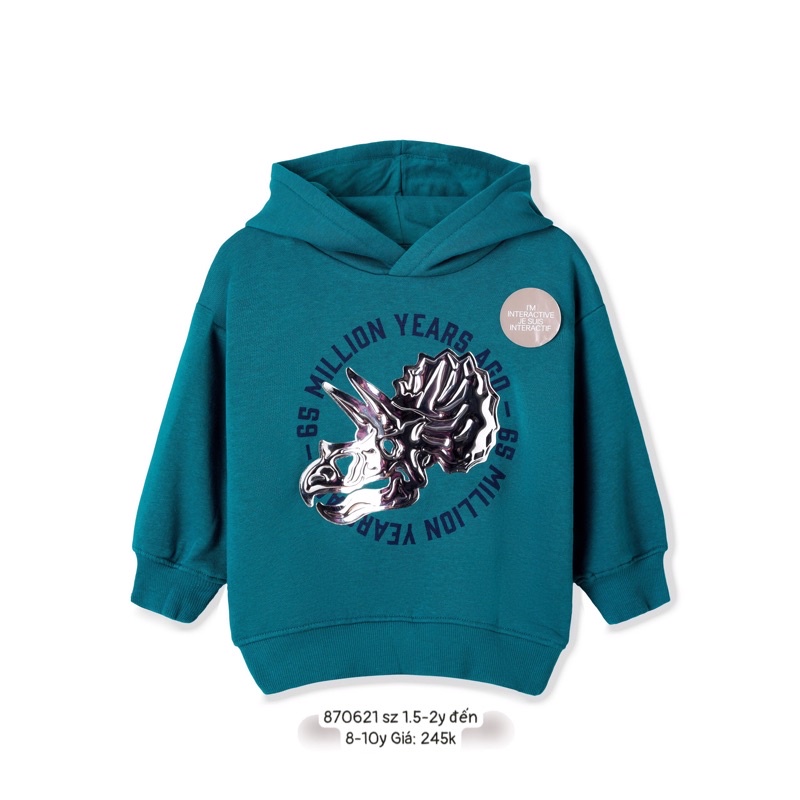 Áo hoodie bé trai HM