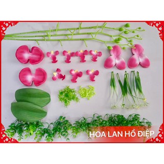 Lan hồ điệp, bộ nl 35k/ 1 bộ. combo 400k