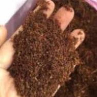 Mùn xơ dừa xử lý