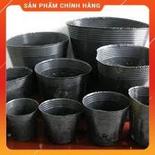 BẦU ƯƠM CÂY GIỐNG KT 18X16CM