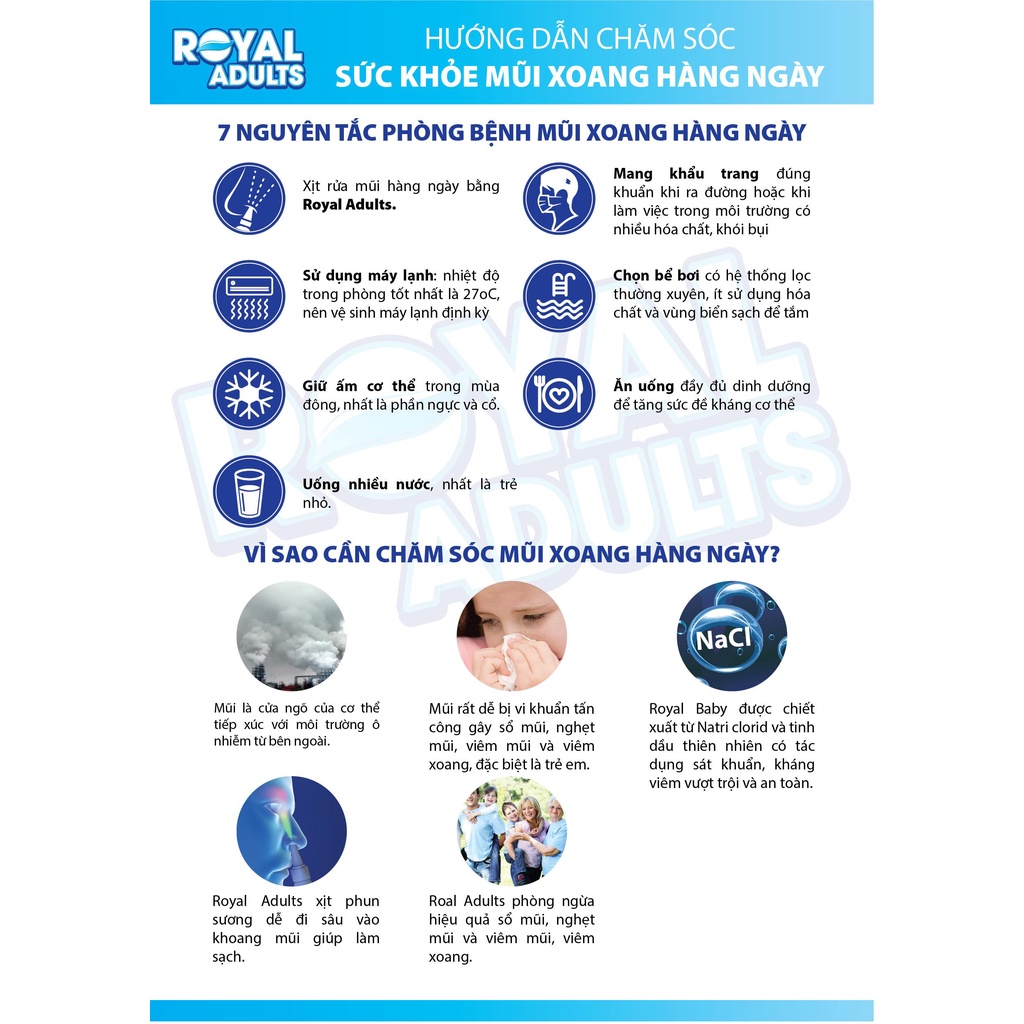 Dung Dịch Xịt Mũi Cho Người Lớn Royal Adults Giúp Giảm Các vấn đề Về Mũi 70ml