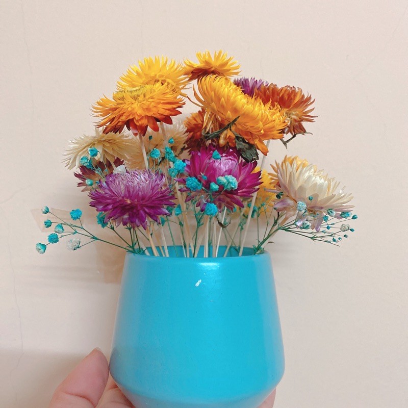 Lọ hoa cúc bất tử mix baby cực xinh (Size lớn)