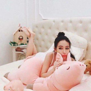 Heo nhồi bông  xinh