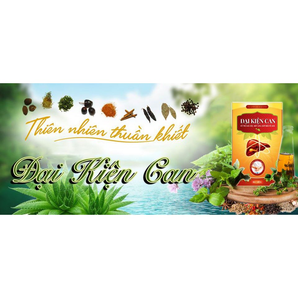 ĐẠI KIỆN CAN - Giải độc Gan - Tăng cường chức năng gan | BigBuy360 - bigbuy360.vn