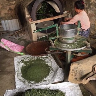 [Đặc sản] Trà shan(san) tuyết Hà Giang