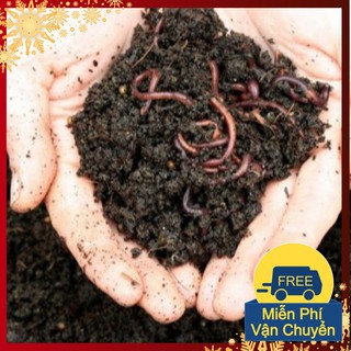 Phân Bón Trùn Quế Nguyên Chất Giàu Dinh Dưỡng