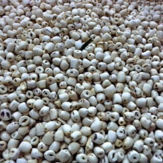 Hạt sen khô 500g
