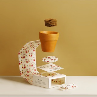 Kit Trồng Cây Mini - Bạc Hà | Plant Kit - Mint