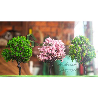 CÂY HOA ANH ĐÀO 14cm