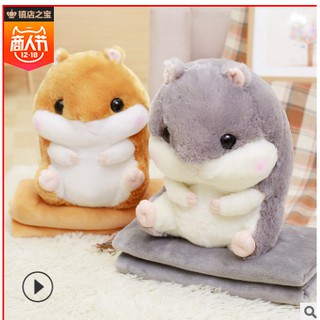 Chuột bông Hamster