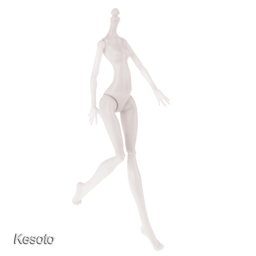 Mô Hình Cơ Thể Nữ Tỉ Lệ 1 / 6