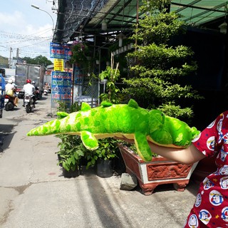 CÁ SẤU NHỒI BÔNG 65CM