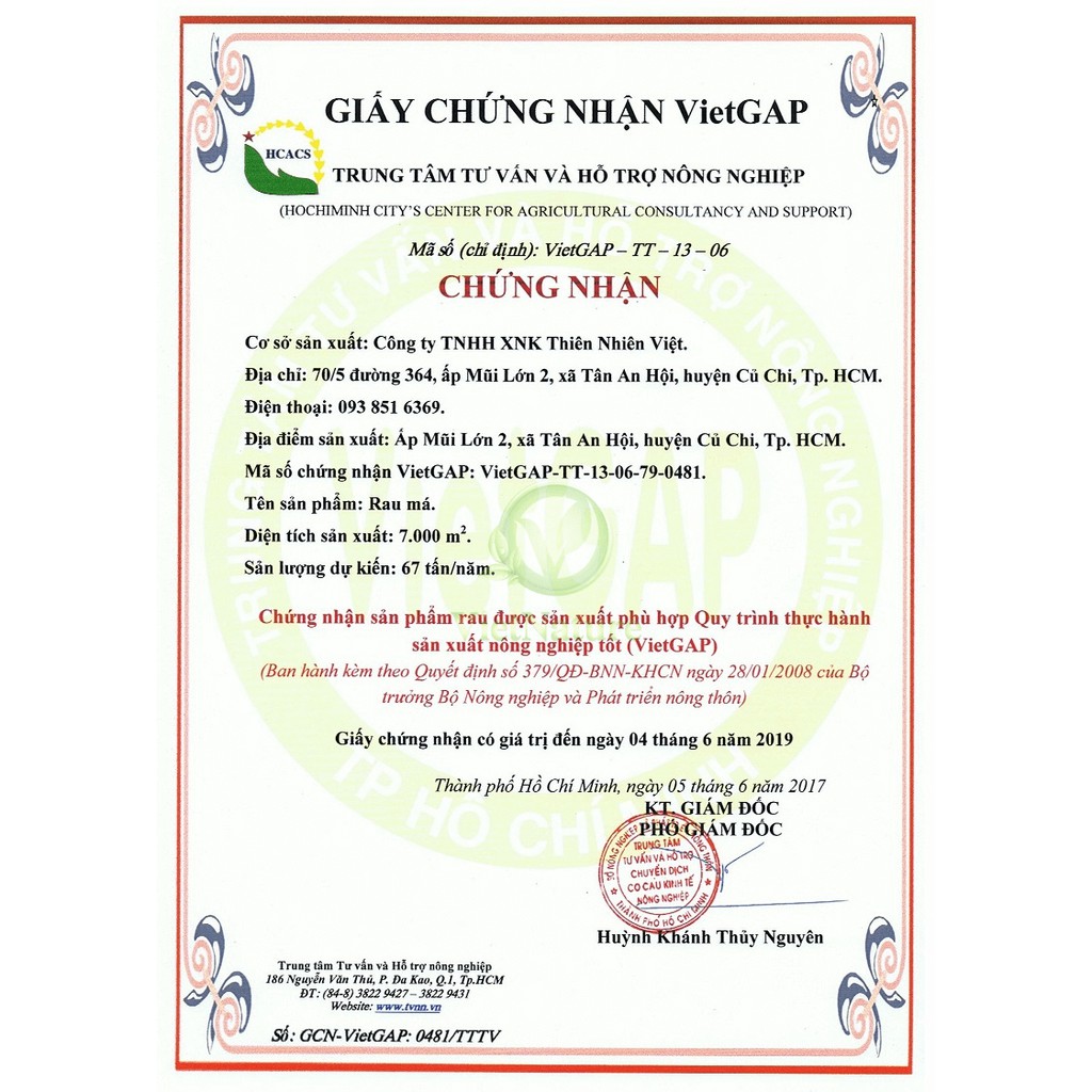 [Mã 267FMCGSALE giảm 8% đơn 500K] THANH LỌC CƠ THỂ Từ BỘT RAU MÁ ĐƯỜNG PHÈN - Hộp 150g (10 gói x 15gr) | BigBuy360 - bigbuy360.vn