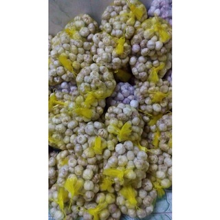 1kg tỏi Ninh Thuận ( củ to)