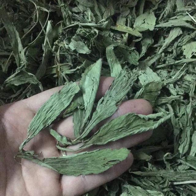 Trà cỏ ngọt lá