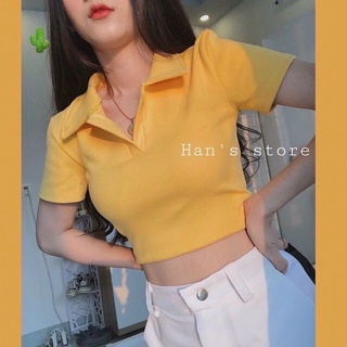 Áo croptop bẻ cổ