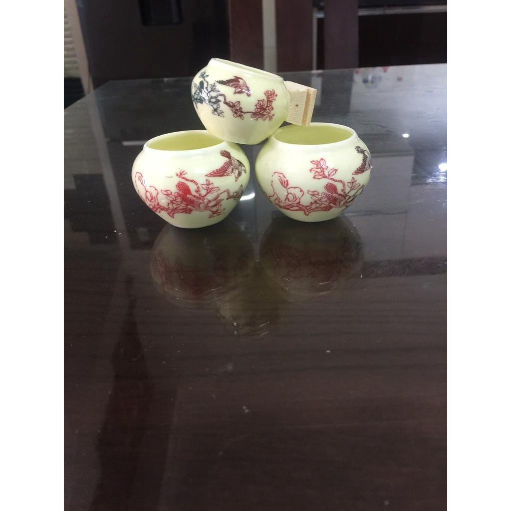 CÓNG SỨ CHIM CHÀO MÀO, Đã kèm tai, rẻ, đẹp