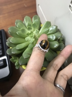 Nhẫn mắt hổ bọc bạc