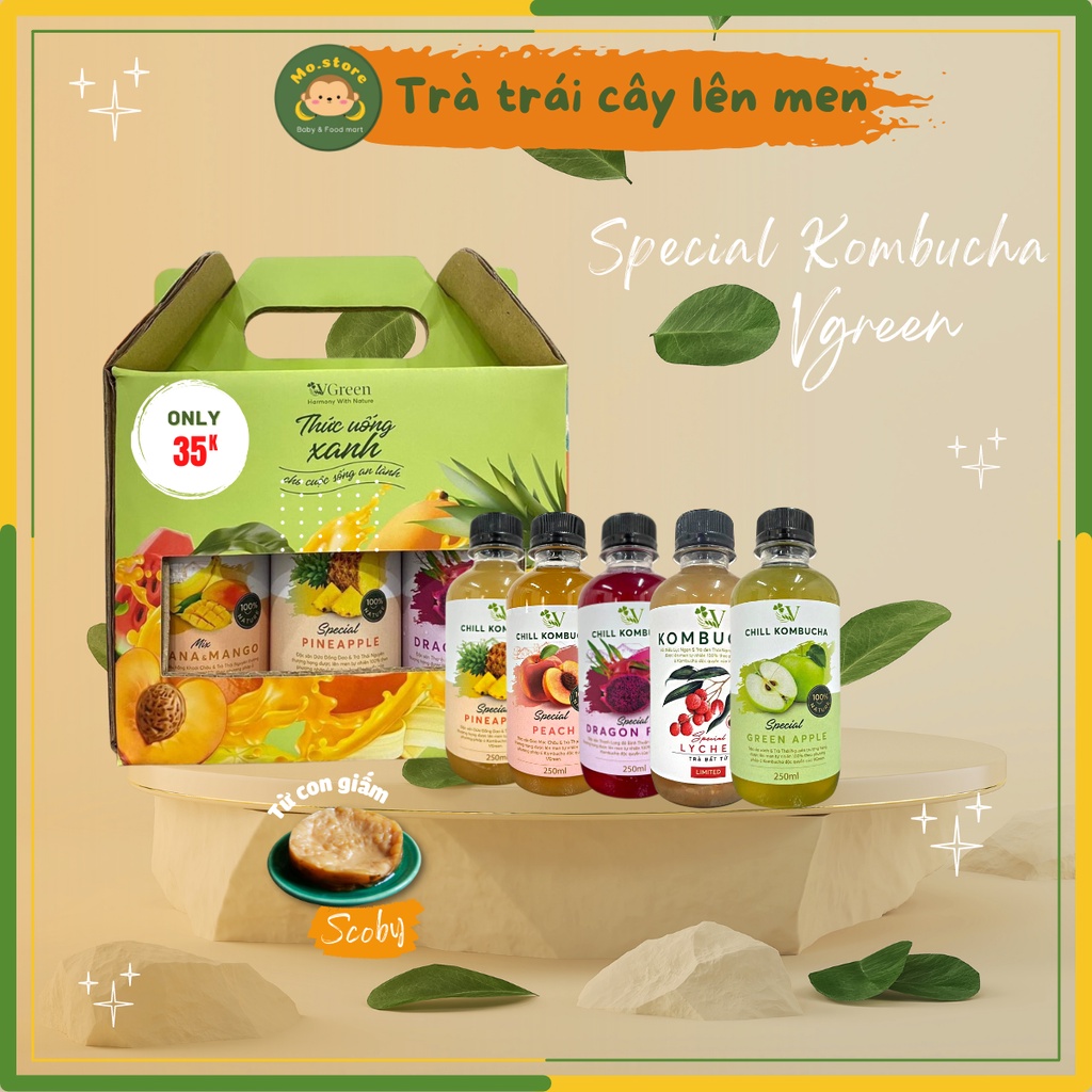 Kombucha Chill - Trà trái cây lên men từ con giống Scoby, bảo quản lạnh Vgreen - Mostore