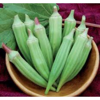 Hạt giống đậu bắp xanh Rạng Đông