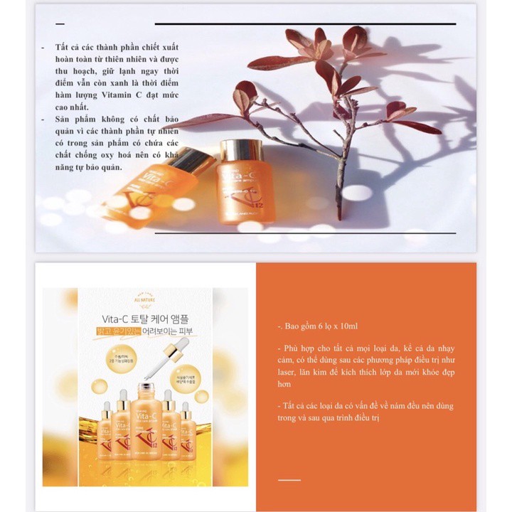 Tinh chất tế bào gốc - Hộp lẻ Vita-C Total Care Ampoule NewLand - Tinh chất dưỡng trắng da | BigBuy360 - bigbuy360.vn