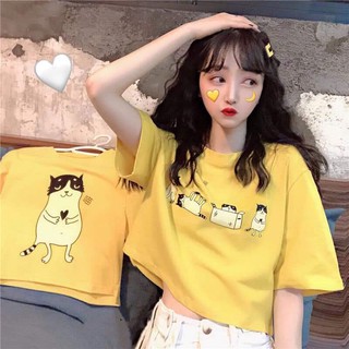 Áo thun croptop tay ngắn màu vàng họa tiết mèo cực xinh xắn