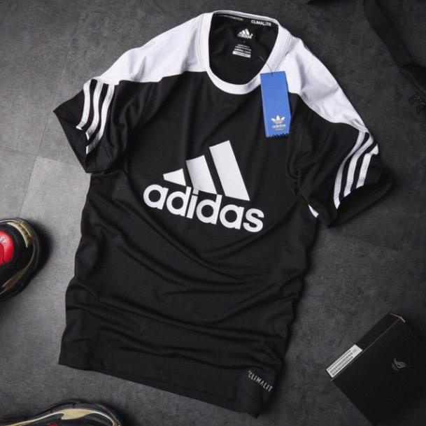 ALBUM 224 - ÁO THUN VNXK COTTON PHỐI MÀU