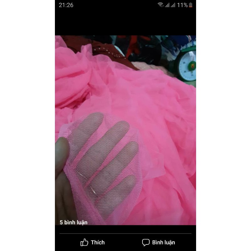 vải của yến