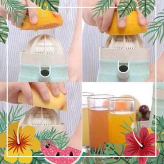 Vắt cam lúa mạch tuệ minh