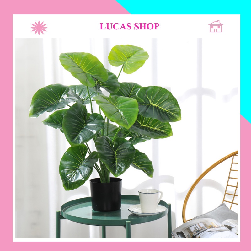 Cây Giả - Cây trầu bà, vạn niên thanh (không kèm chậu) 12 lá cỡ 54 cm trang trí không gian gia đình, văn phòng...