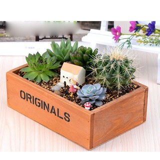 Chậu gỗ trồng cây cảnh Originals