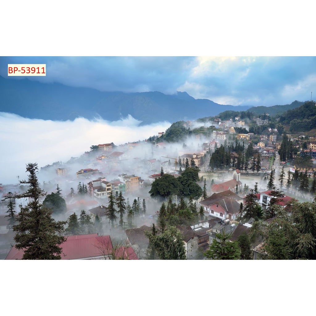 Tranh dán tường Việt Nam 3D Màu sắc tươi sáng, độ sắc nét cao, độ bền màu từ 10 năm trở lên.