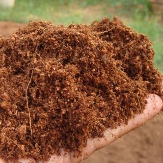 (giá rẻ) Xơ dừa nghiền (mùn dừa) túi nhỏ