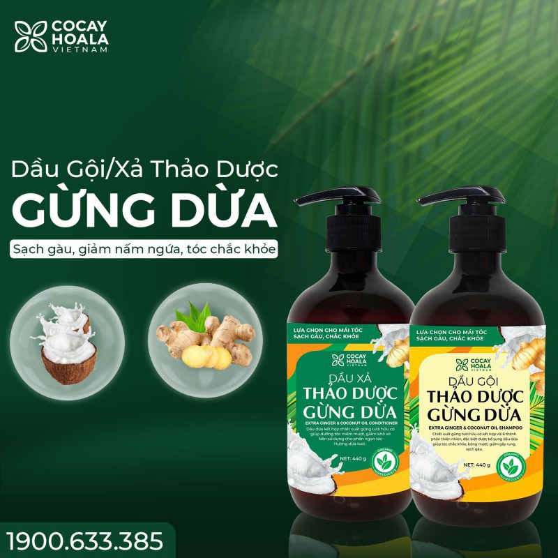 COMBO DẦU GỘI XẢ THẢO DƯỢC GỪNG DỪA HỮU CƠ CỎ CÂY HOA LÁ LÀM SẠCH DA ĐẦU, HỖ TRỢ GIẢM NGỨA HIỆU QUẢ, DƯỠNG TÓC MỀM MƯỢT