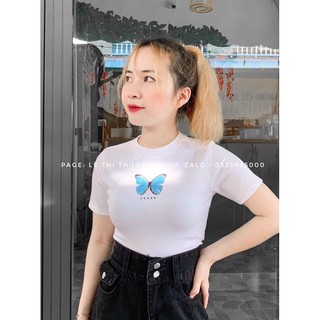 ☀️Áo Croptop Banawa Casar