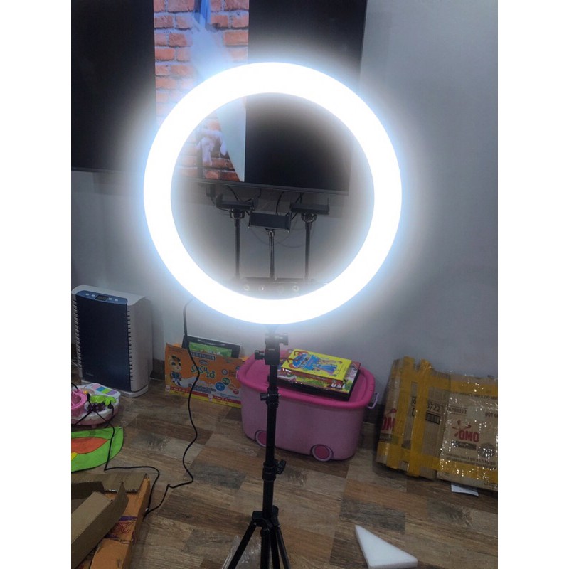 đèn live size 36 cm kèm chân đế 2m1