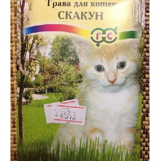 Hạt giống Mầm lúa mì lúa mạch {gói 100gram }