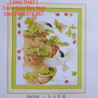 DA088 Tranh thêu chữ thập chim bồ câu và dâu tây Joy Sunday