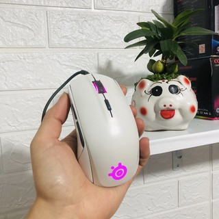 Chuột SteelSeries Rival 110