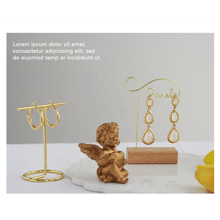 Giá treo trưng bày hoa tai/ đồ trang sức thời trang