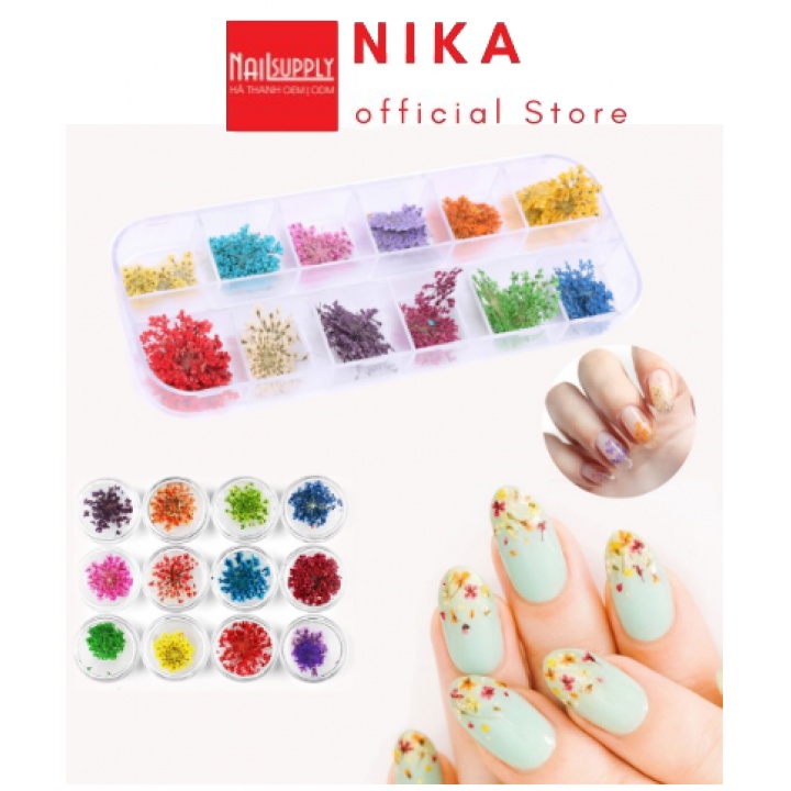 SET HOA KHÔ CHÙM TRANG TRÍ NAIL 12 MÀU