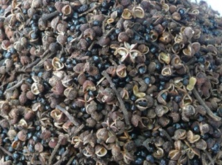 Combo 0,2kg mắc khén+0,5lang hạt dổi