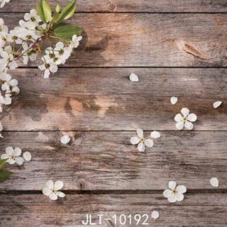 Phông nền chụp ảnh quần áo